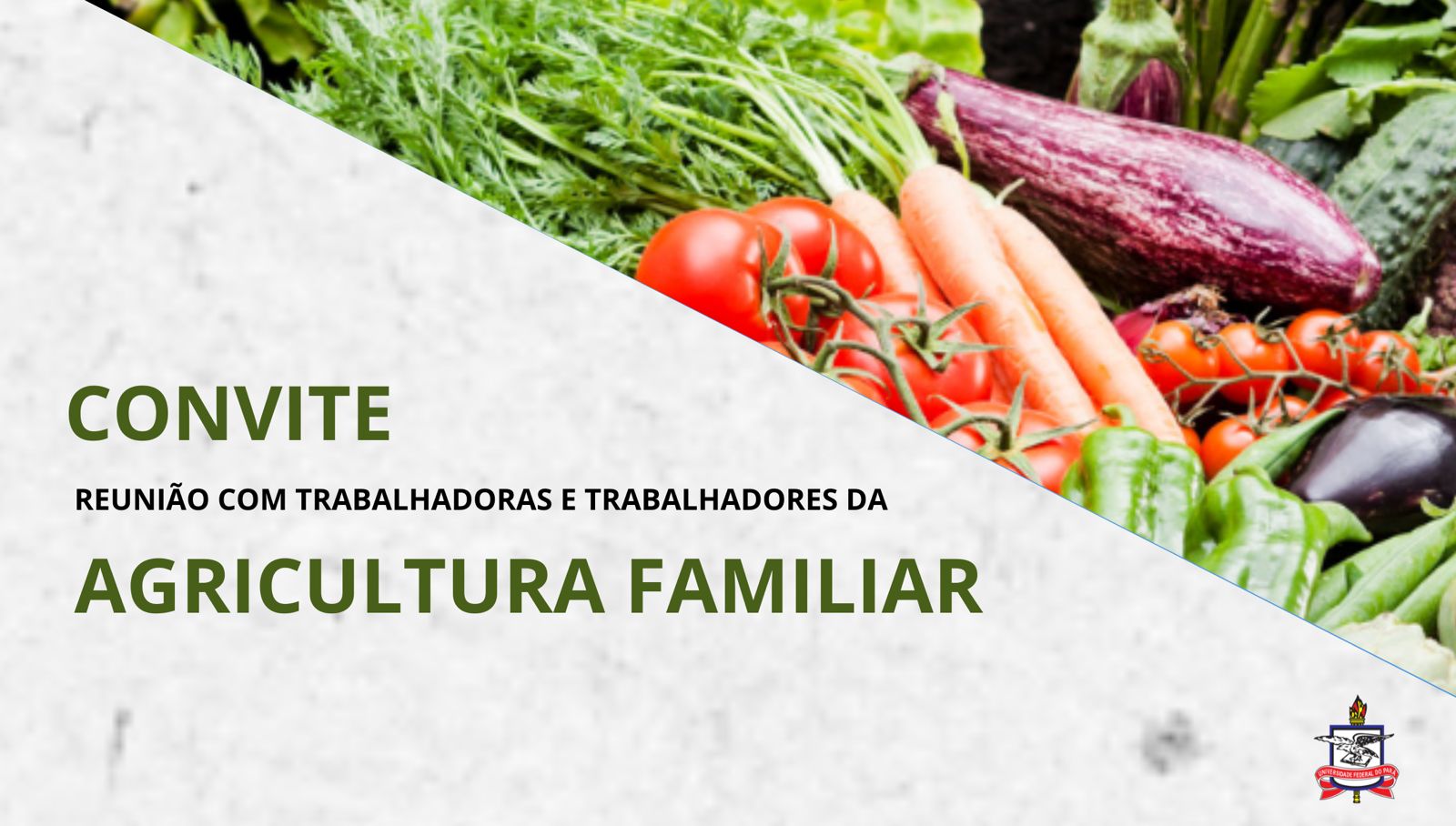 Banner de divulgação. Em um fundo branco, aparece uma imagem colorida da metade para cima de frutas e verdura. Em baixo escrito:  Convite: Reunião com trabalhadoras e trabalhadoras da Agricultura Familiar. Na base, à esquerda o Brasão da UFPA.